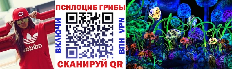 МЕГА ССЫЛКА  Власиха  Псилоцибиновые грибы MAGIC MUSHROOMS  закладка 